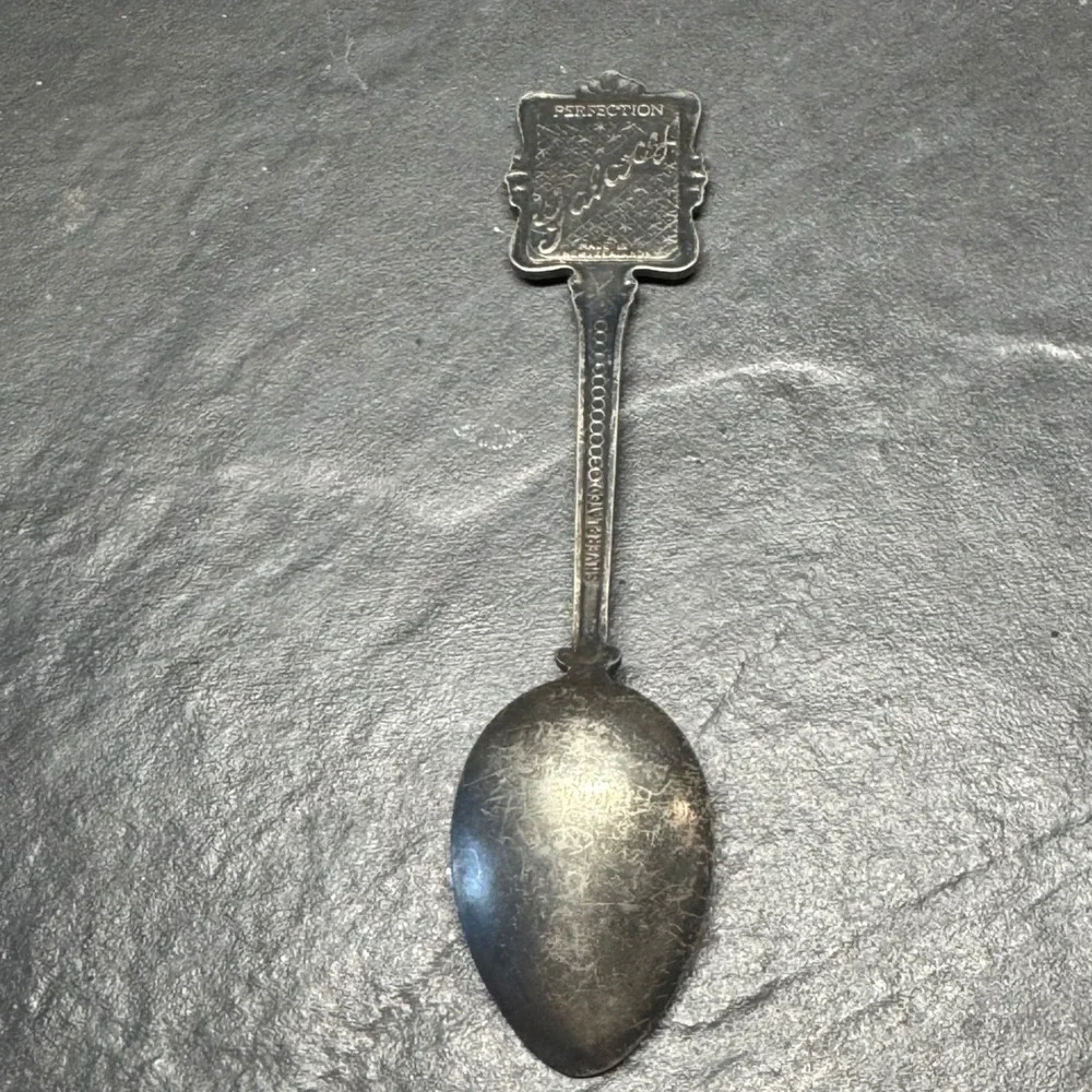 Vintage Perfection‎ Galaxy Wildflowers of Arizona Souvenir Spoon Silver Plated